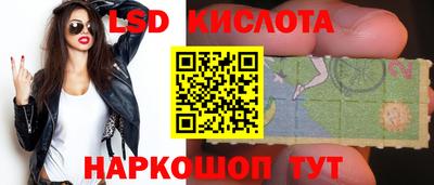 a pvp Краснознаменск
