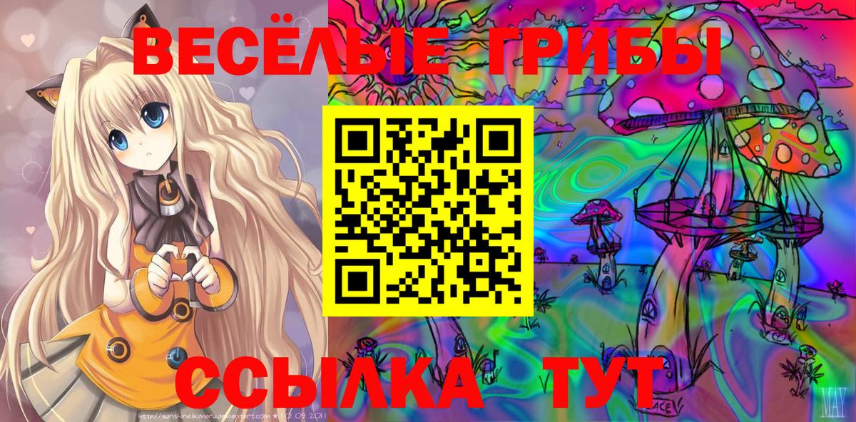 Урус-Мартан  Псилоцибиновые грибы MAGIC MUSHROOMS  Вход с VPN 