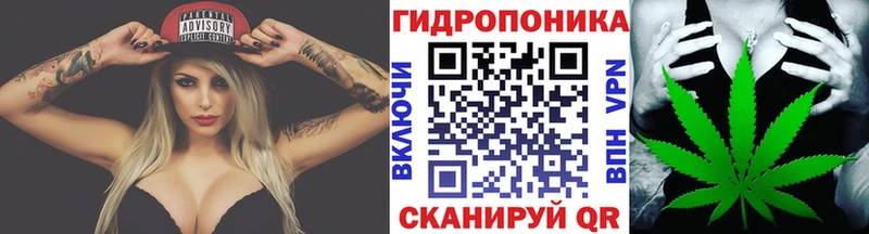 Шишки марихуана марихуана МЕГА зеркало Урус-Мартан